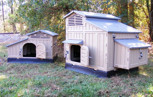 large and small formex snaplock chicken coop best for urban chickens