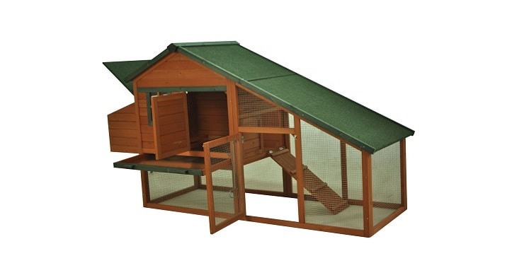 cheap chicken coop for backyard chickens